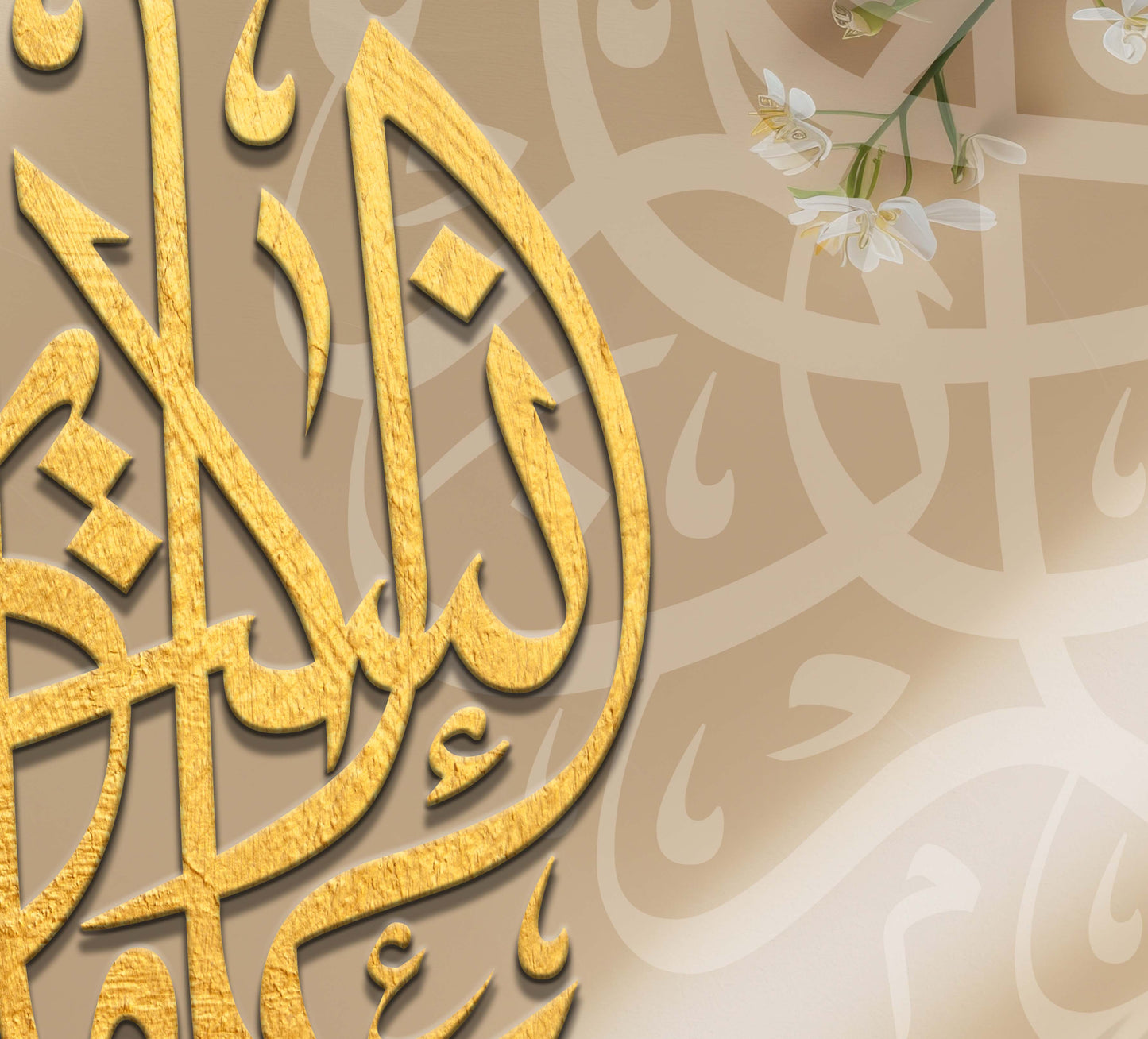 علم الانسان