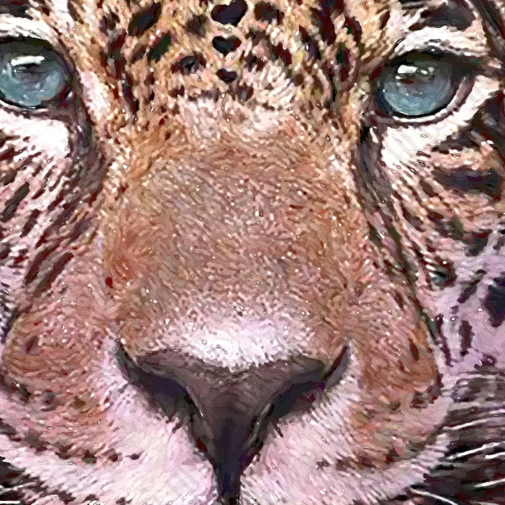 Cute tiger in pink flowers canvas