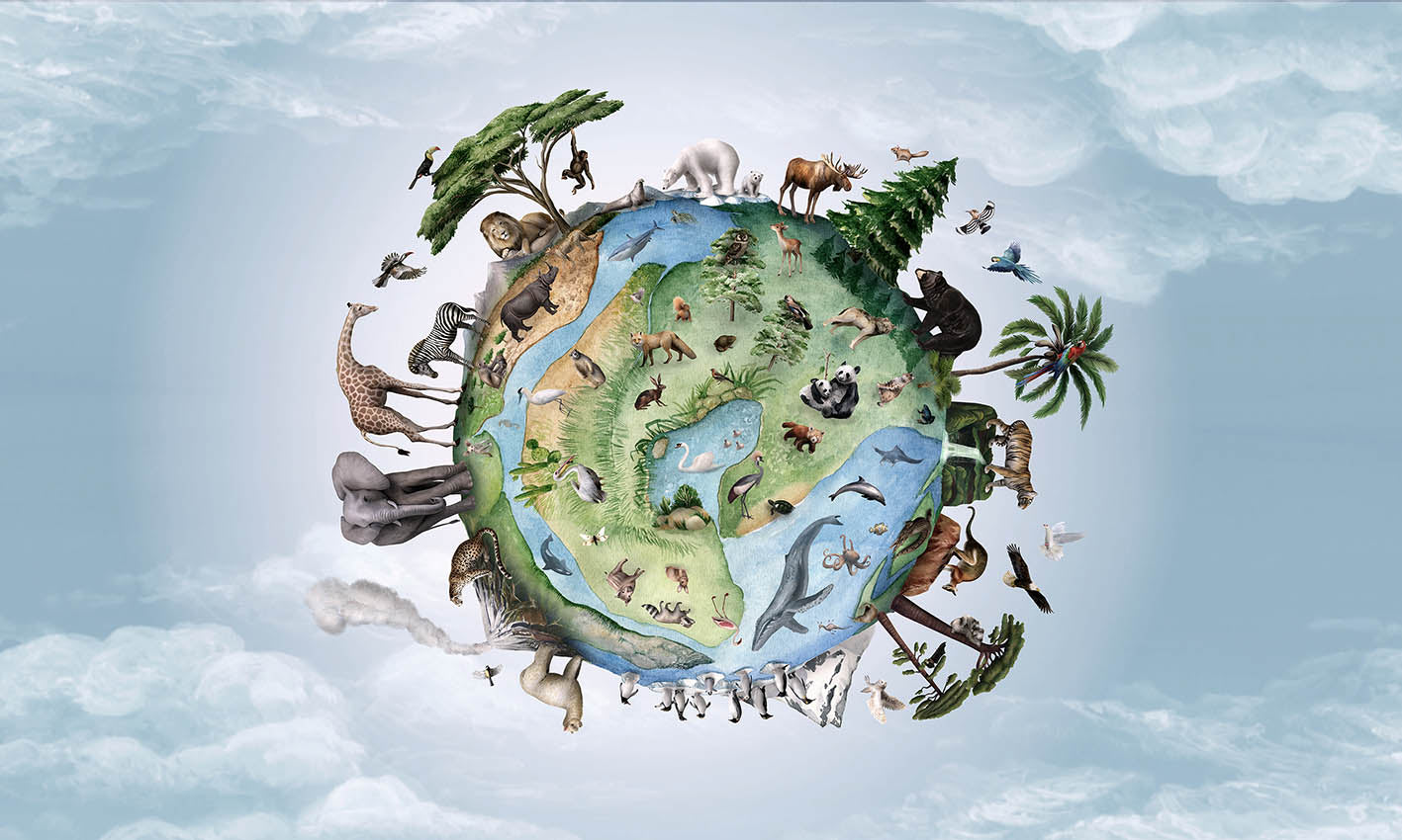 Animals of Earth European mural wallpaper design for kids room — Artehub Egypt