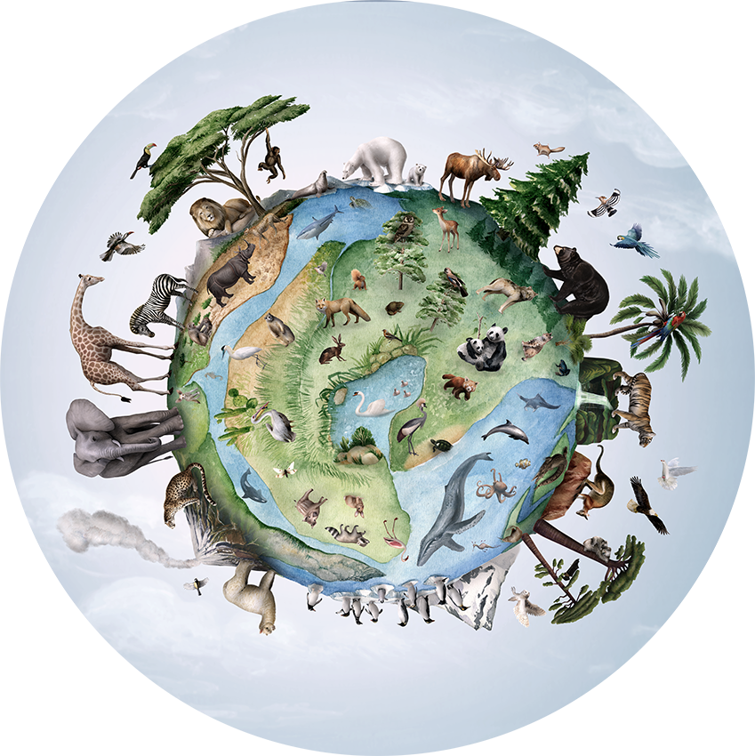 Animals Of Earth wall circle sticker by Artehub