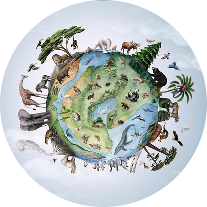 Animals Of Earth wall circle sticker by Artehub