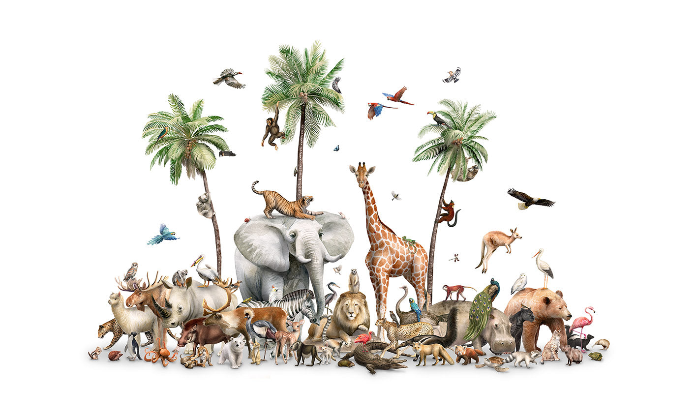 Beautiful Biodiversity European mural wallpaper design for kids room — Artehub Egypt