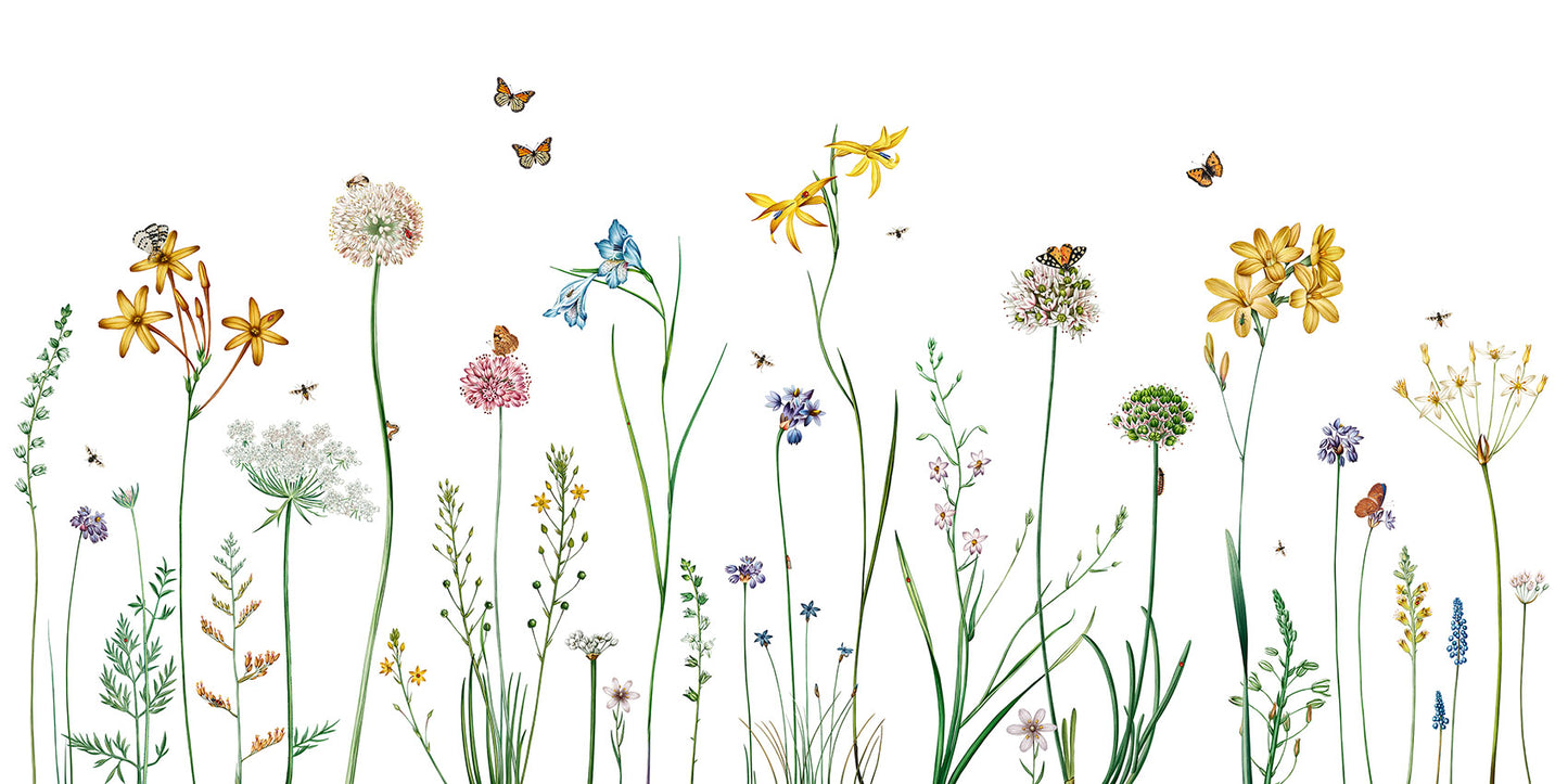 Butterfly Garden European mural wallpaper design for kids room — Artehub Egypt