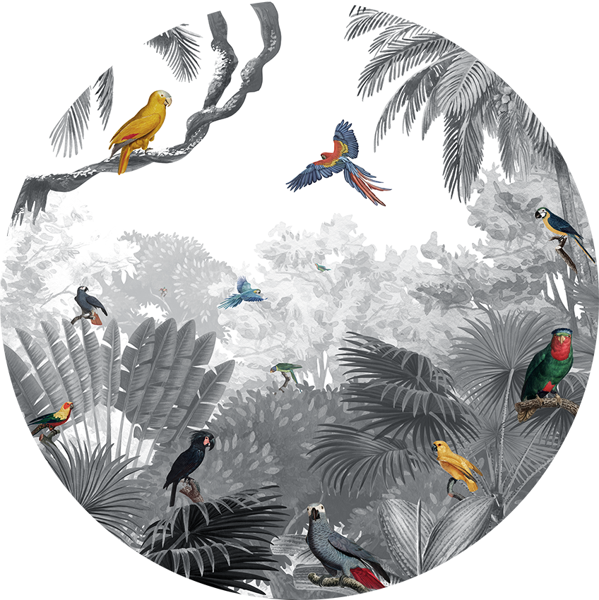 Canopy Jungle B&W wall circle sticker by Artehub