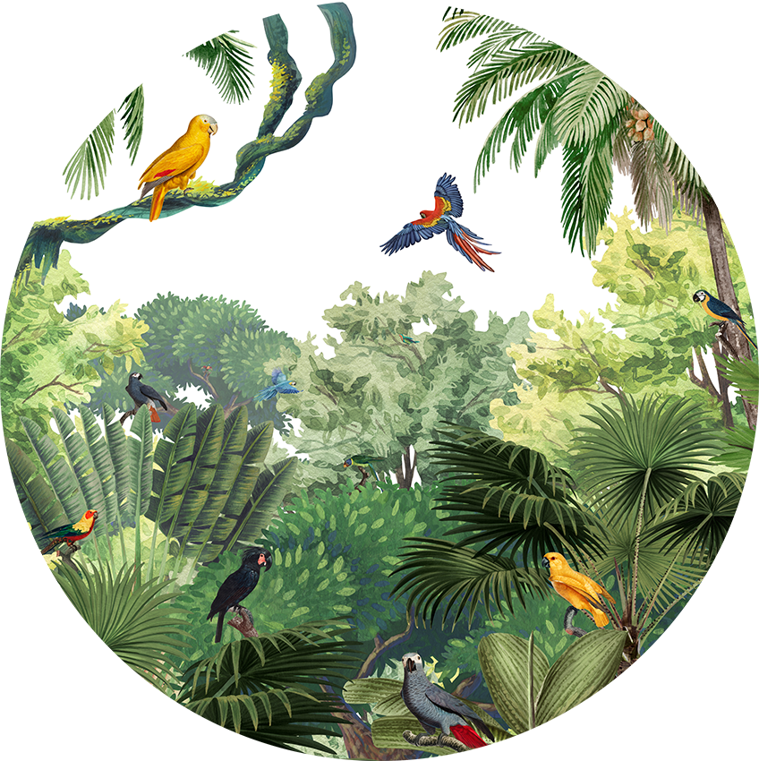 Canopy Jungle wall circle sticker by Artehub