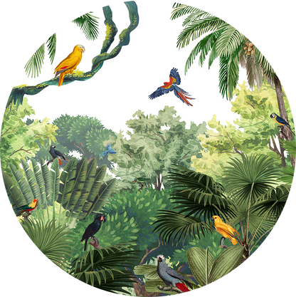 Canopy Jungle wall circle sticker by Artehub