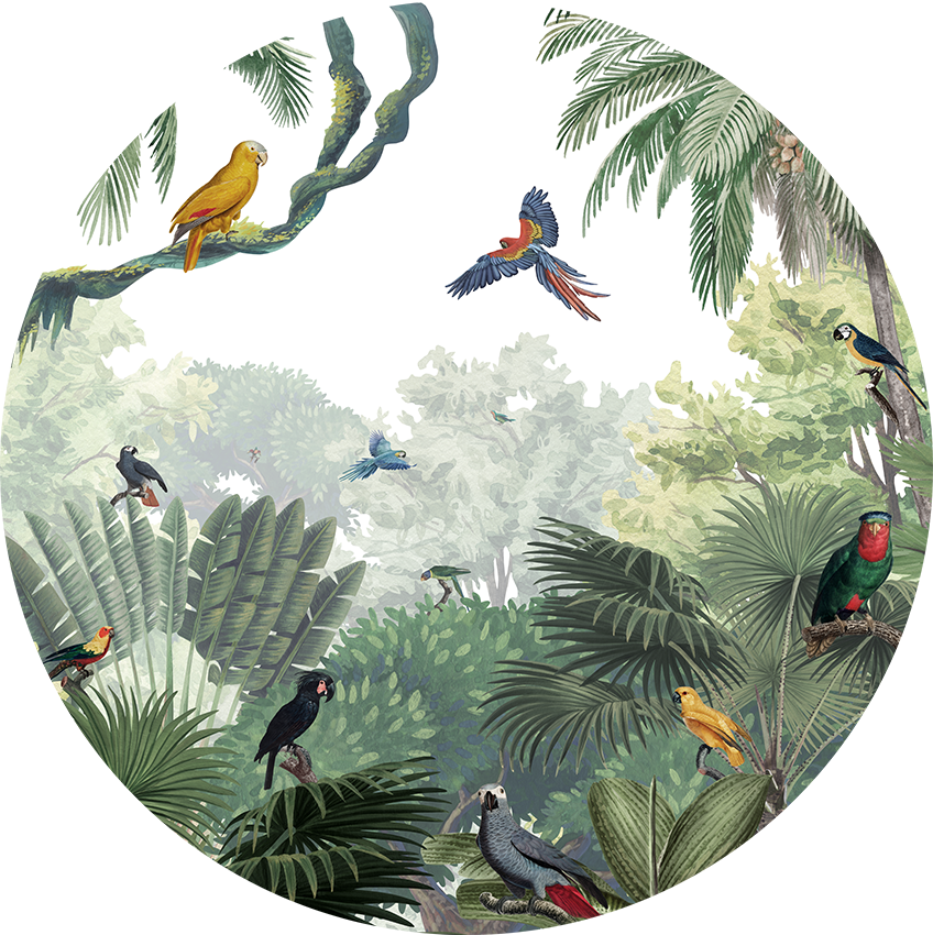 Canopy Jungle Natural wall circle sticker by Artehub