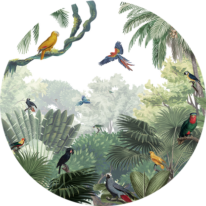 Canopy Jungle Natural wall circle sticker by Artehub