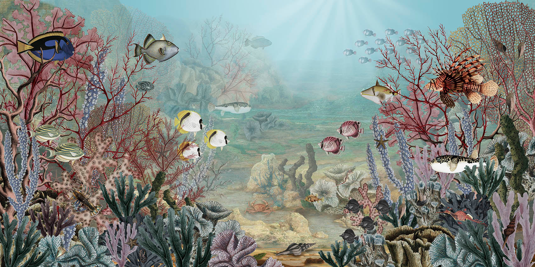 Coral Creatures wallpaper design — Artehub Egypt