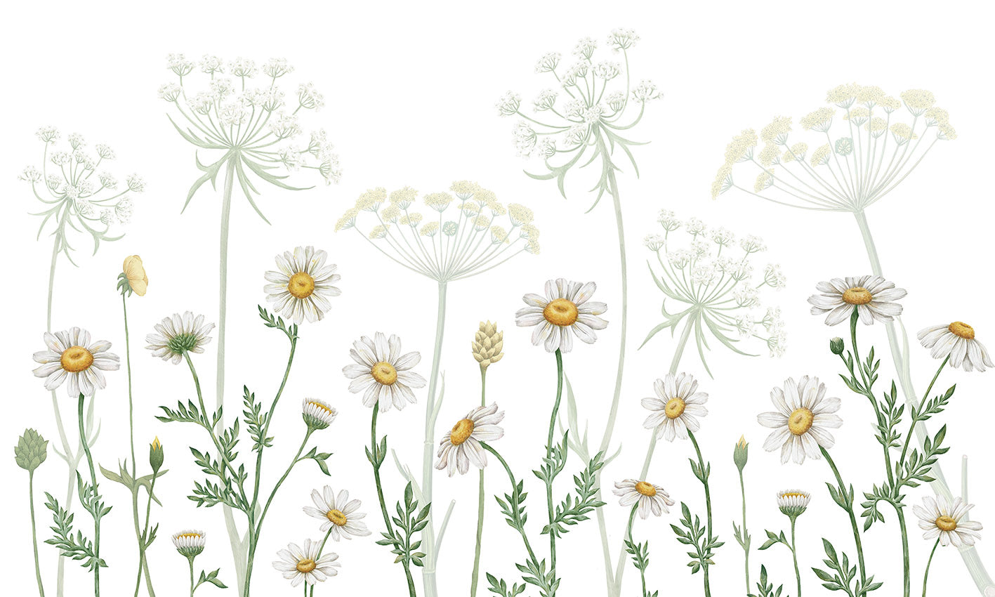 Field of Daisies European mural wallpaper design for kids room — Artehub Egypt
