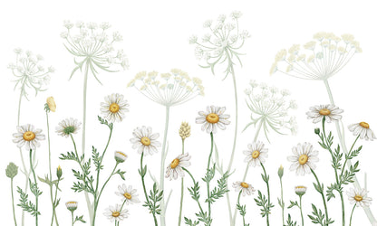 Field of Daisies European mural wallpaper design for kids room — Artehub Egypt