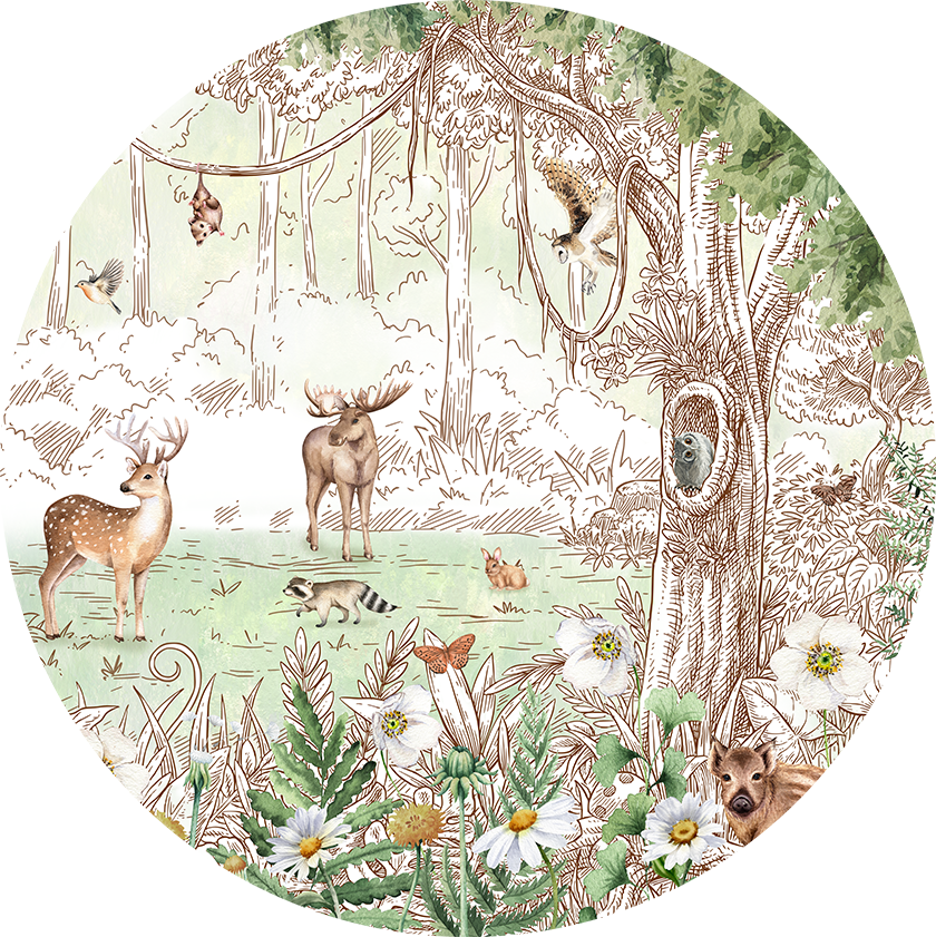 Forest Friends Spring 2 wall circle sticker by Artehub