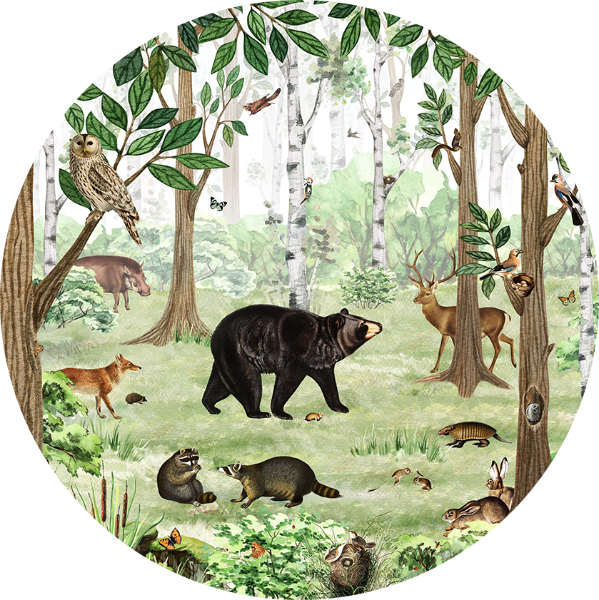 Forest Lookbook wall circle sticker by Artehub
