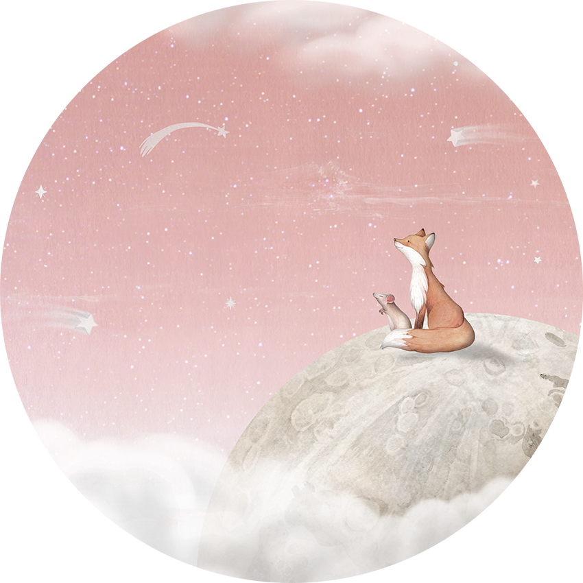 Fox on the Moon - Pink - Circle