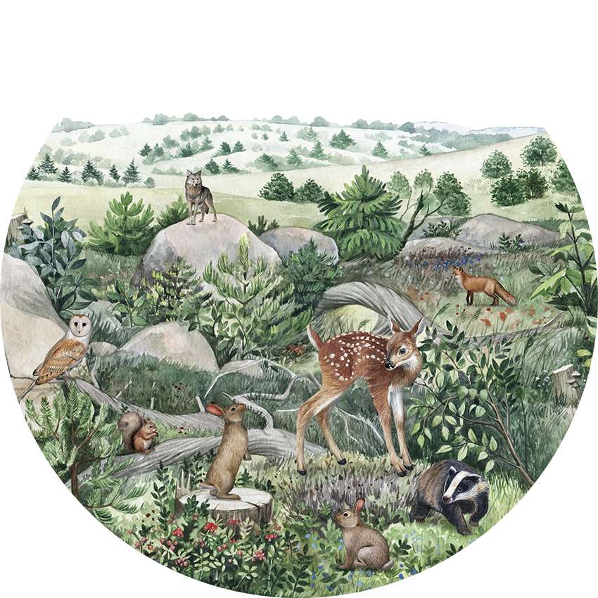 Happy Hills wall circle sticker by Artehub