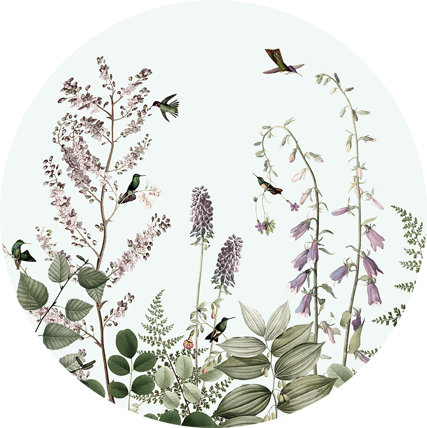 Hummingbird Hedge wall circle sticker by Artehub