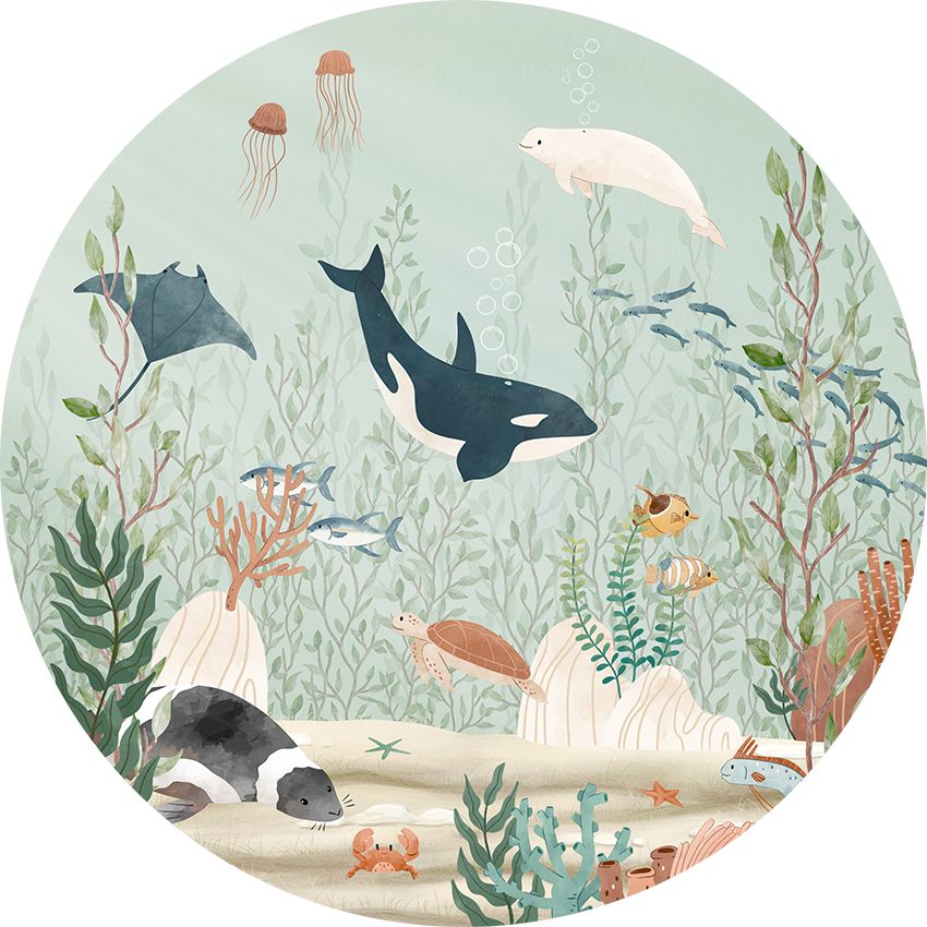 Kelp Forest - Circle