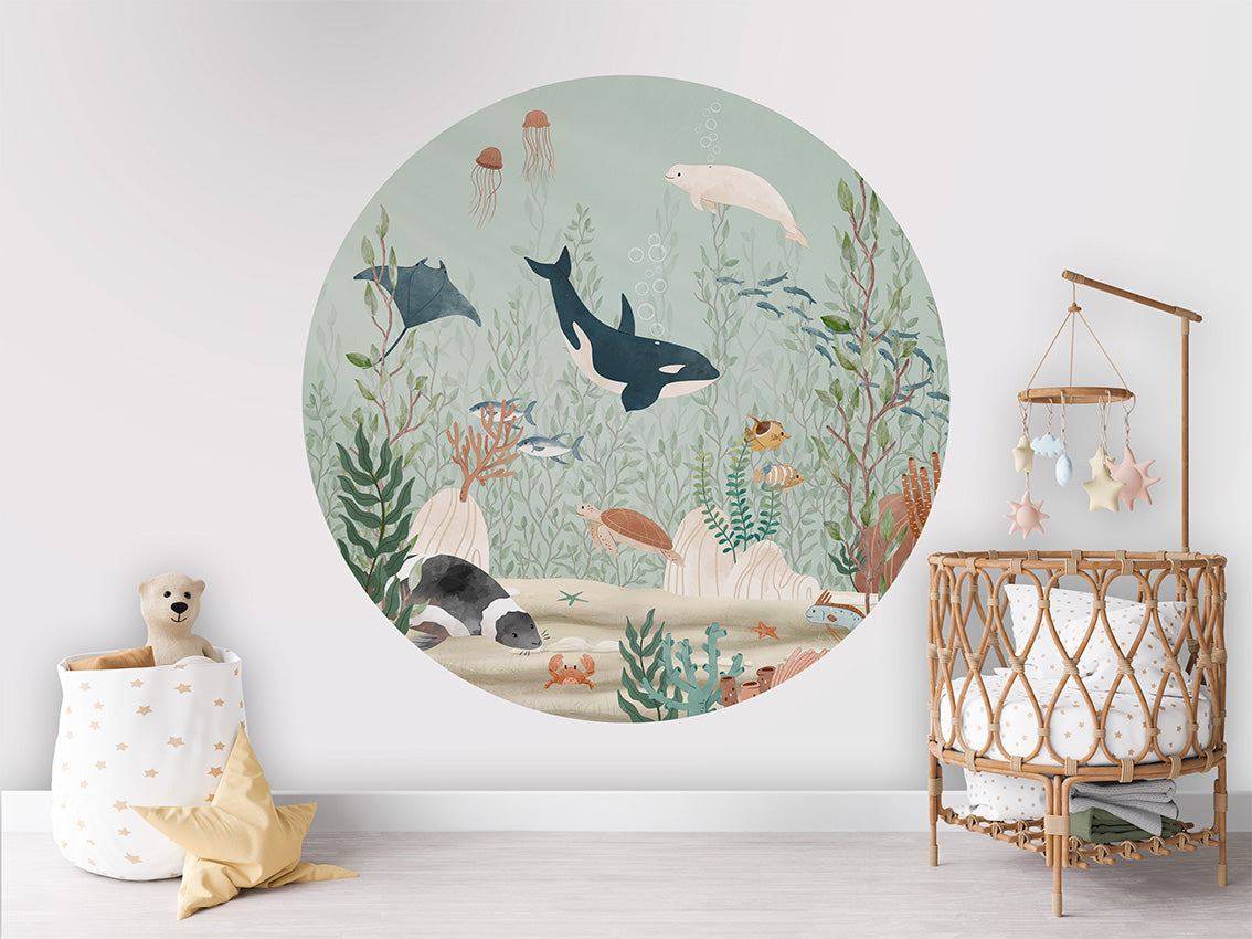 Kelp Forest - Circle