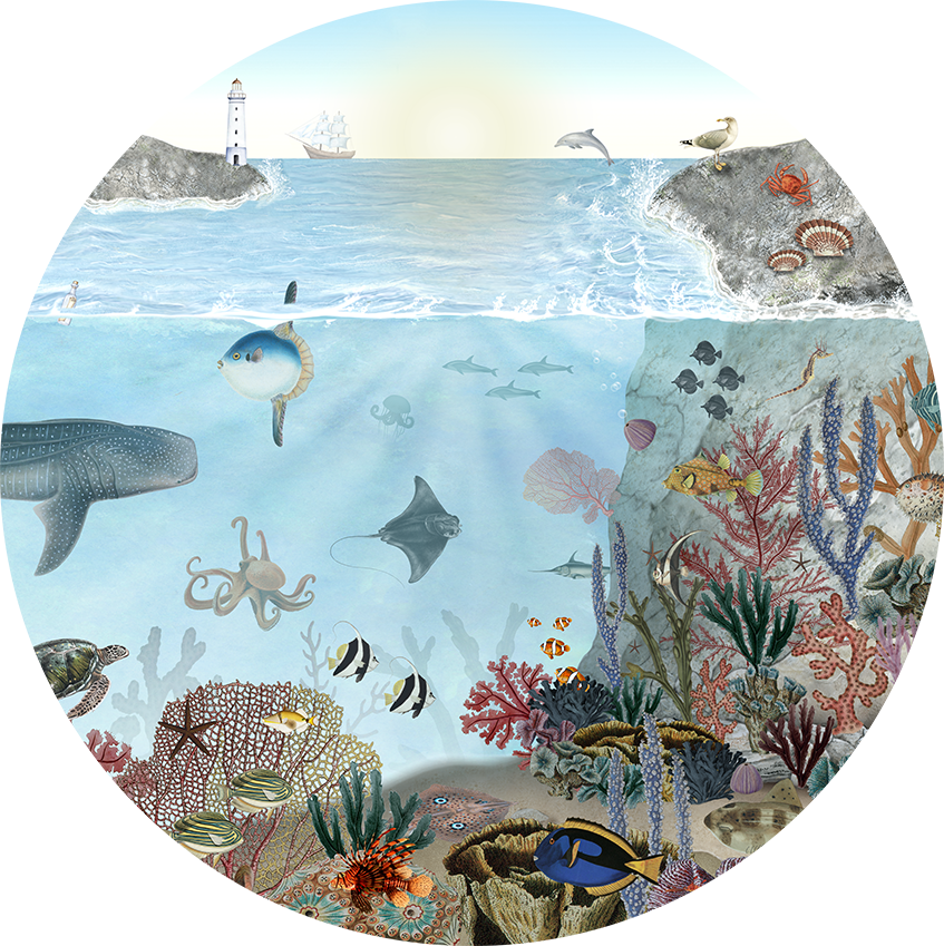 Ocean Lookbook wall circle sticker by Artehub