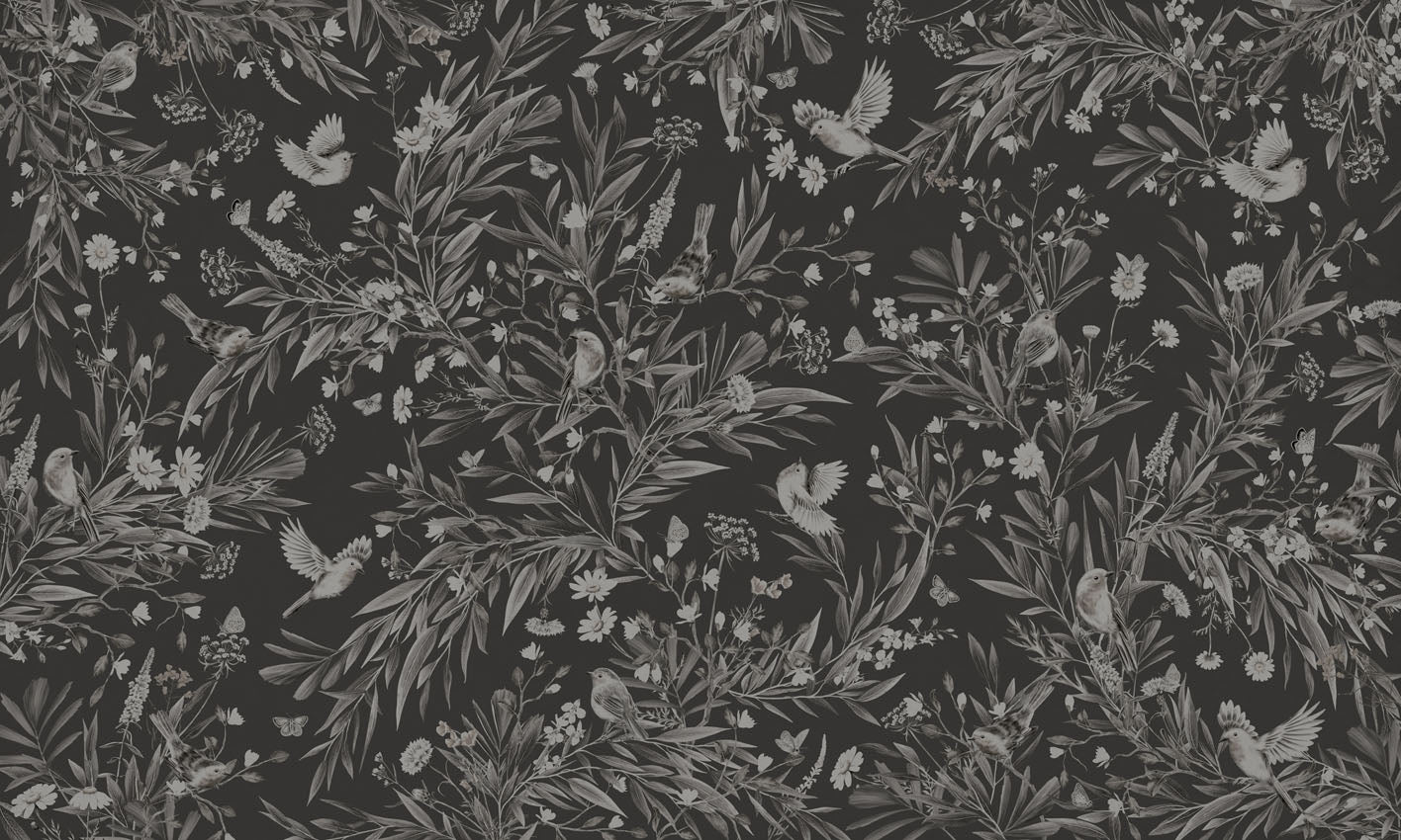 Playful Robins - Monochrome - black European mural wallpaper design for kids room — Artehub Egypt