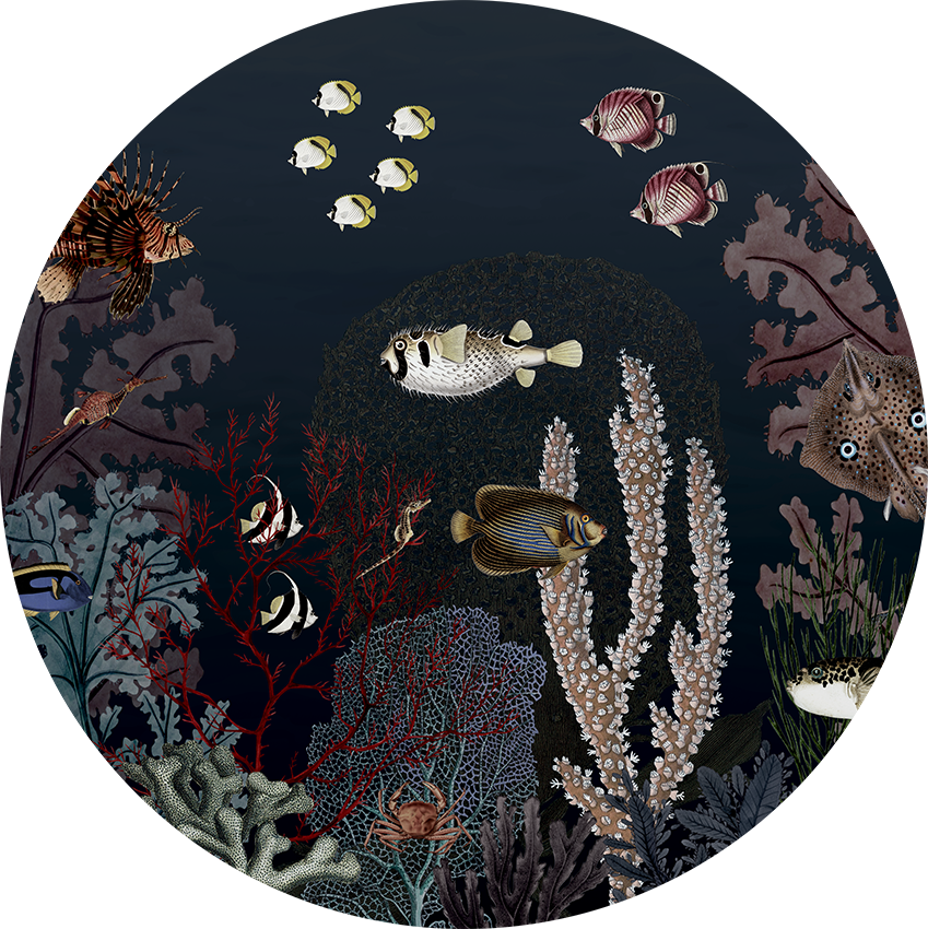 Roaring Reef Blue wall circle sticker by Artehub