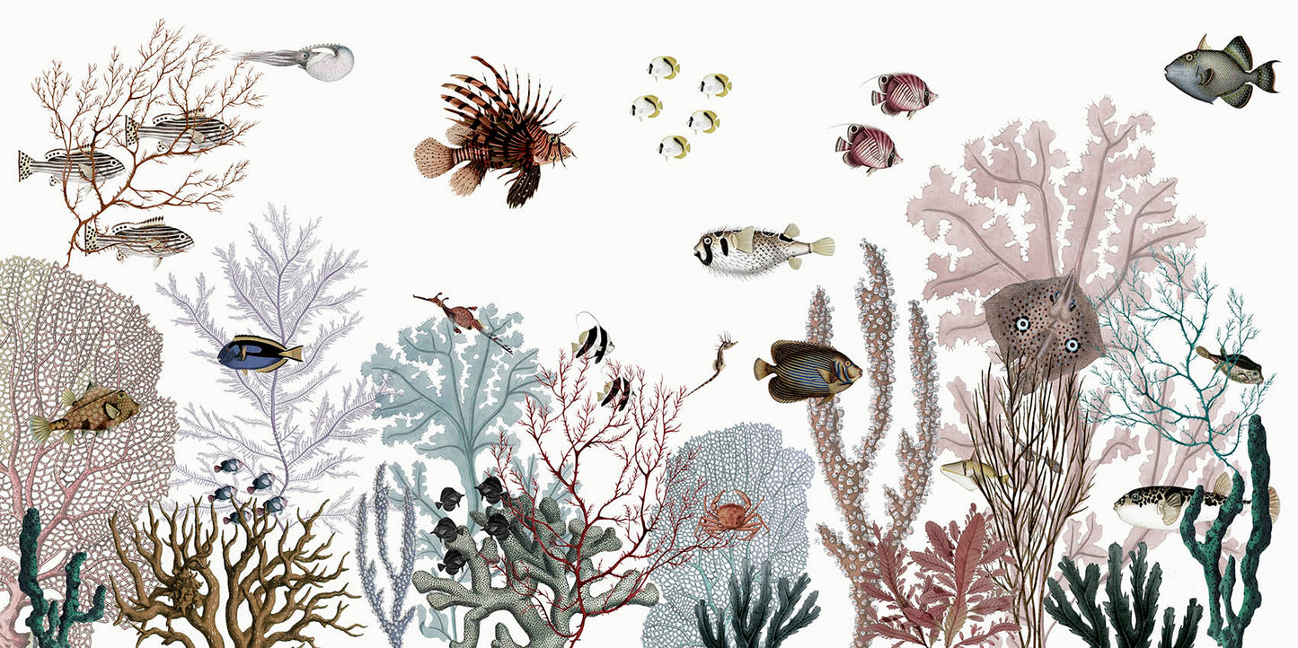 Roaring Reef - White European mural wallpaper design for kids room — Artehub Egypt