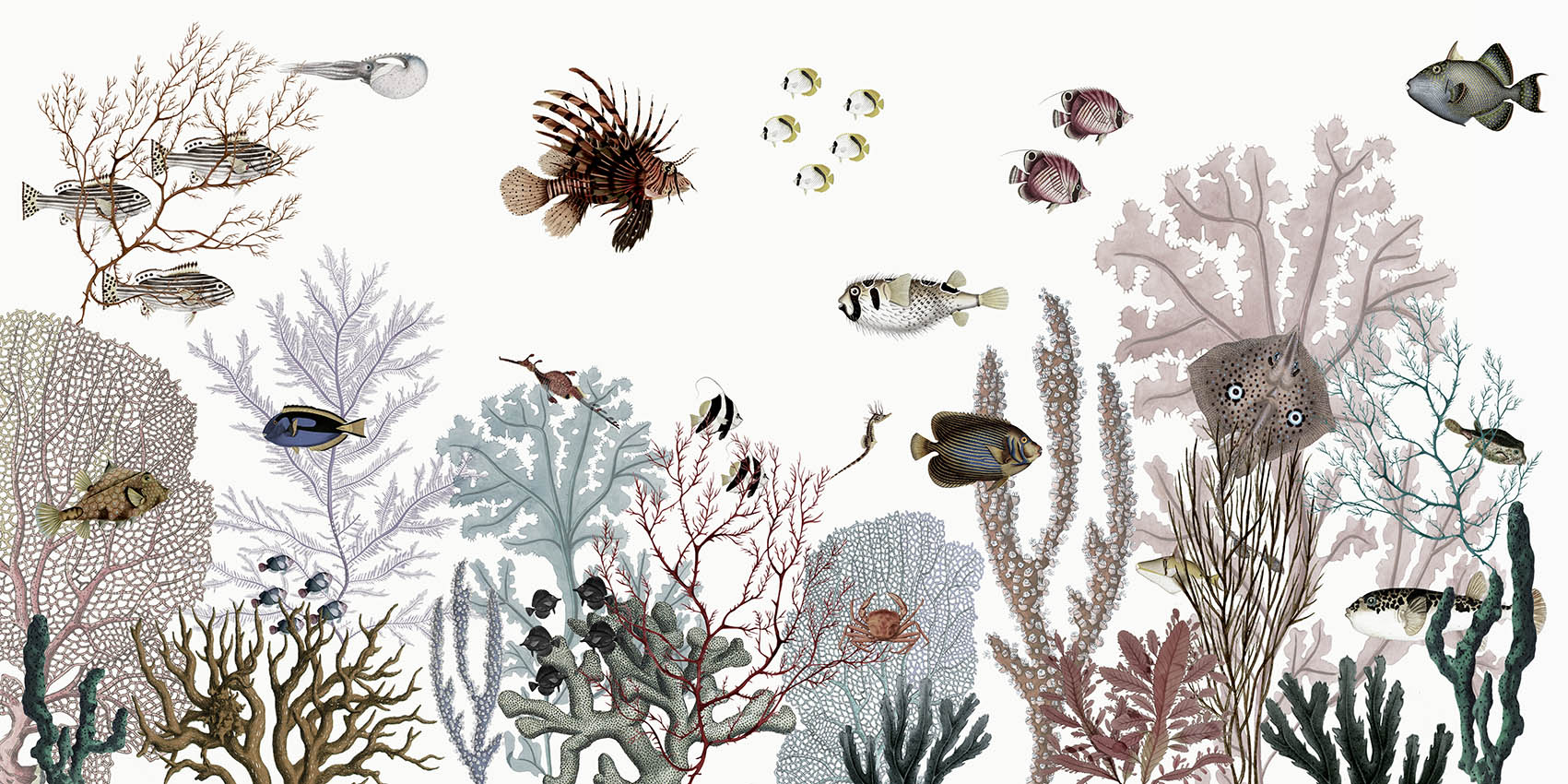 Roaring Reef - White European mural wallpaper design for kids room — Artehub Egypt