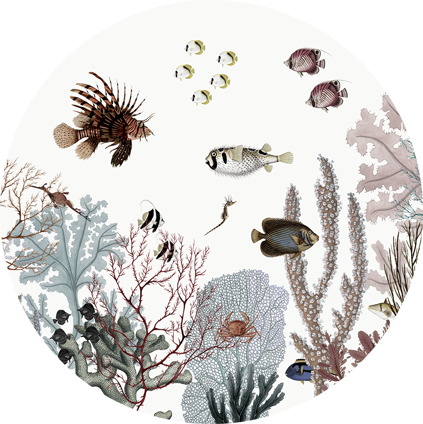 Roaring Reef White wall circle sticker by Artehub