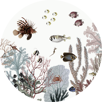 Roaring Reef White wall circle sticker by Artehub