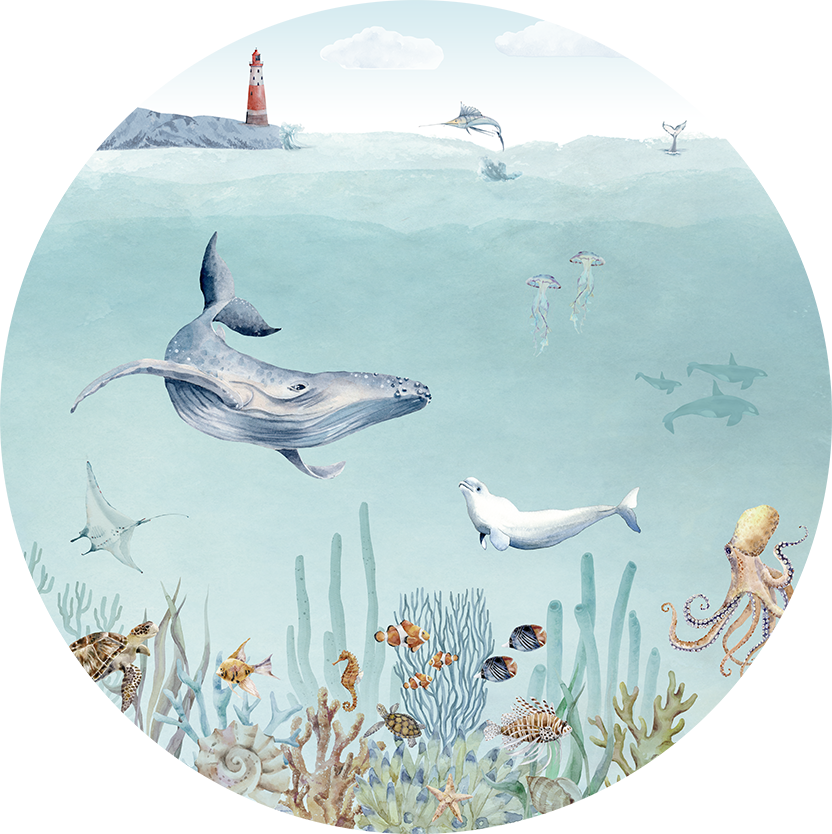 Secret Sealife wall circle sticker by Artehub