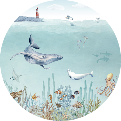 Secret Sealife wall circle sticker by Artehub