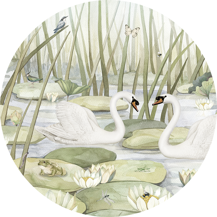 Spectacular Swans wall circle sticker by Artehub