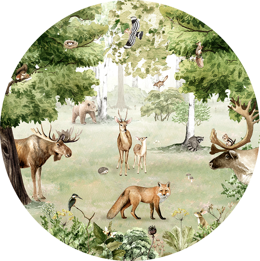 Woodland Wonders wall circle sticker by Artehub