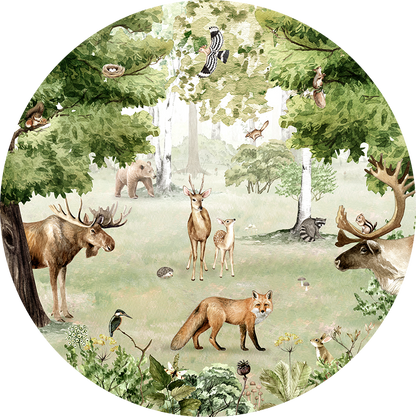 Woodland Wonders wall circle sticker by Artehub