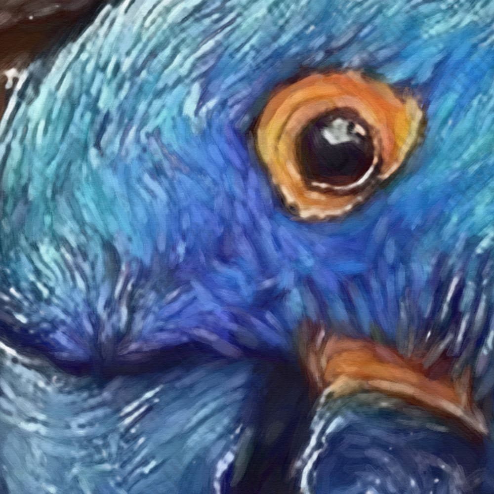 Lion and parrot painting canvas