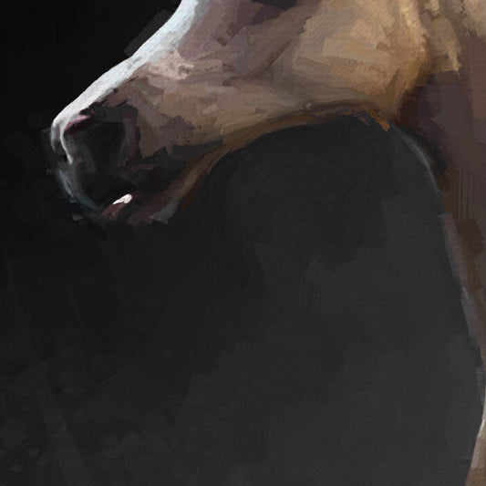 Painted arabic horse in dark mood
