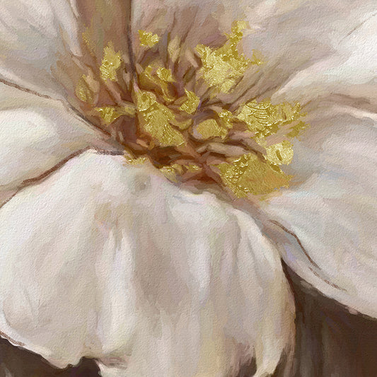 White rose with gold touch